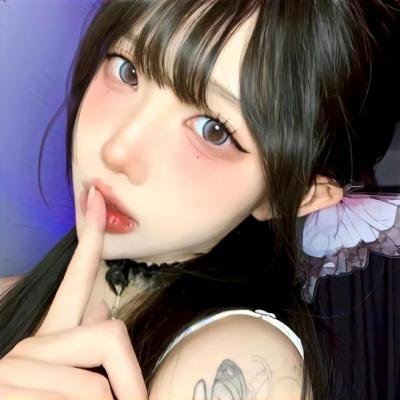 摄影师贝尔蒂与海豚零距离