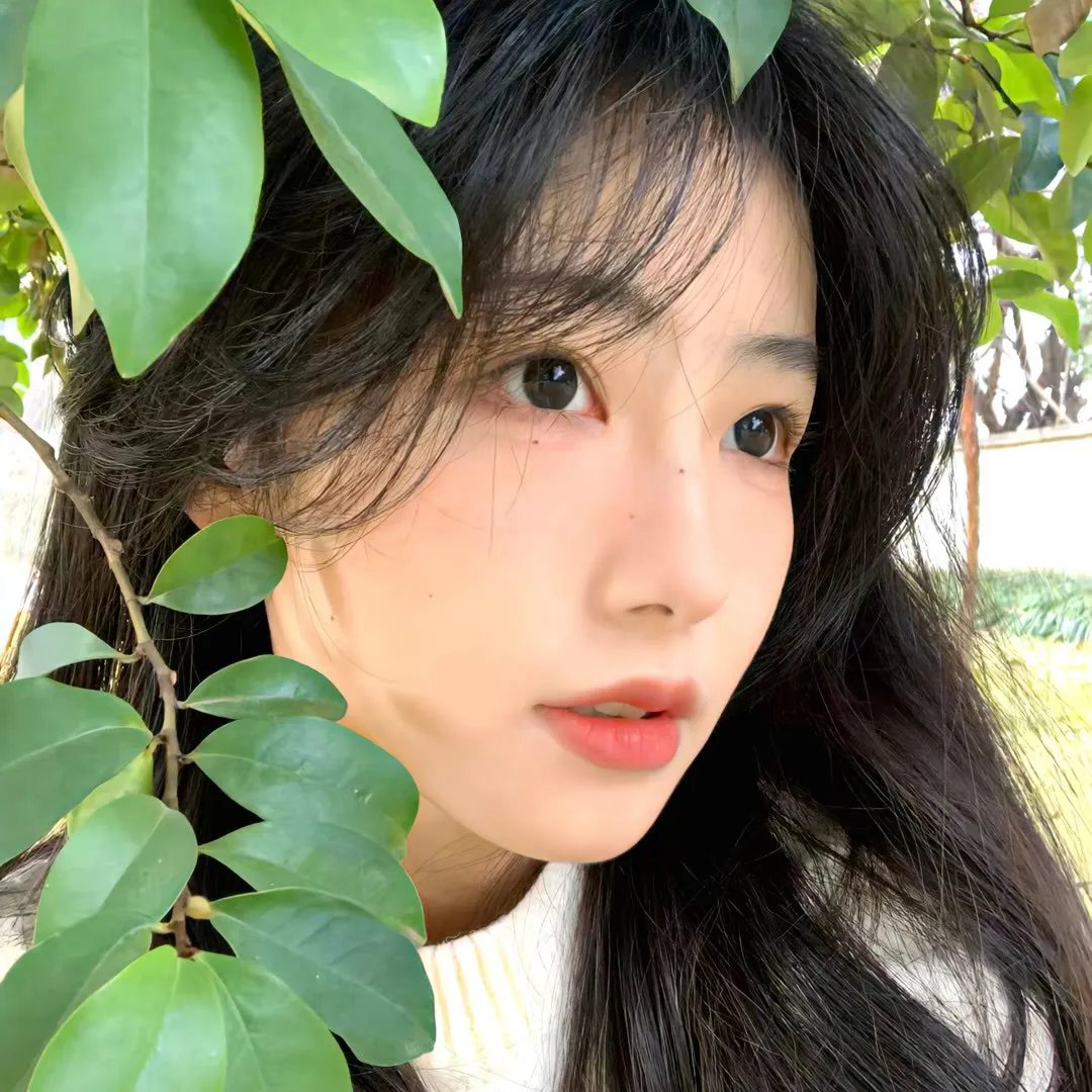 玻璃芦苇
